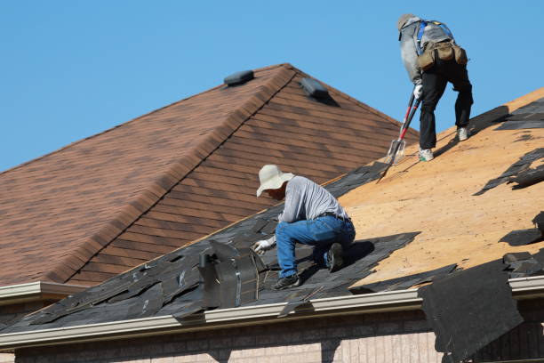 Best Solar Panel Roofing Installation  in Louisburg, NC