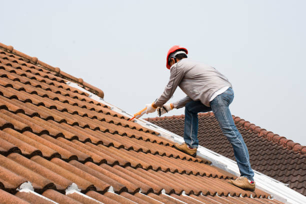 Best Steel Roofing  in Louisburg, NC