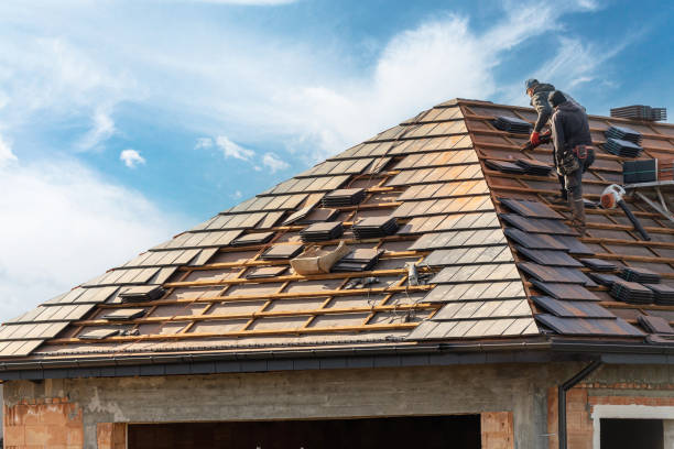 Best Asphalt Shingle Roofing  in Louisburg, NC