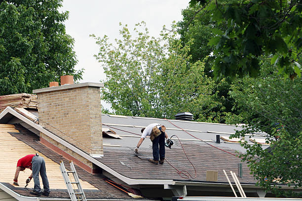 Gutter Replacement in Louisburg, NC